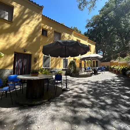 El Viejo Castano - Valle Del Genal Pujerra