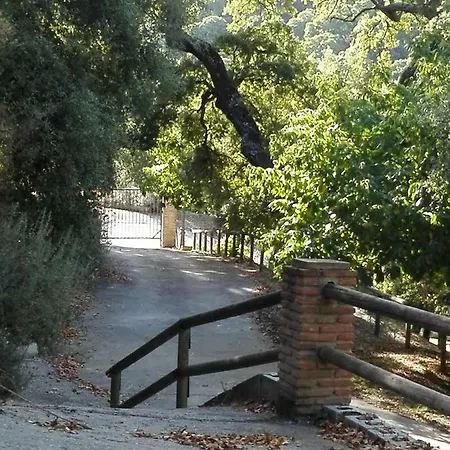 Casa de Campo El Viejo Castano - Valle Del Genal Pujerra