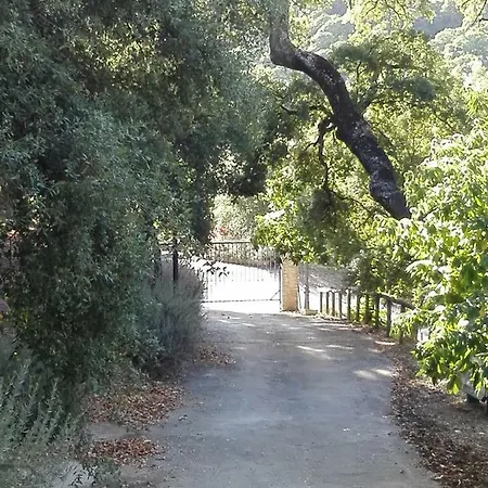 El Viejo Castano - Valle Del Genal