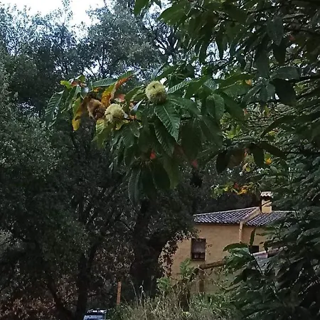 Country house El Viejo Castano - Valle Del Genal *