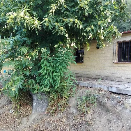 El Viejo Castano - Valle Del Genal