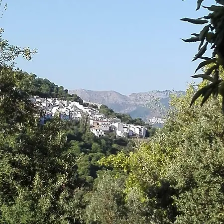 El Viejo Castano - Valle Del Genal Pujerra