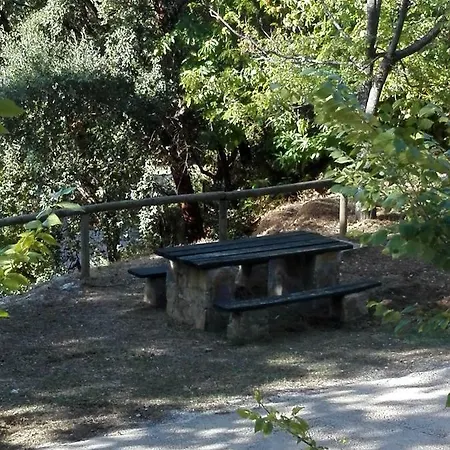 El Viejo Castano - Valle Del Genal Pujerra